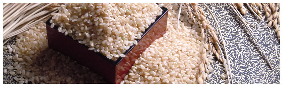 弐湖の米　玄米
